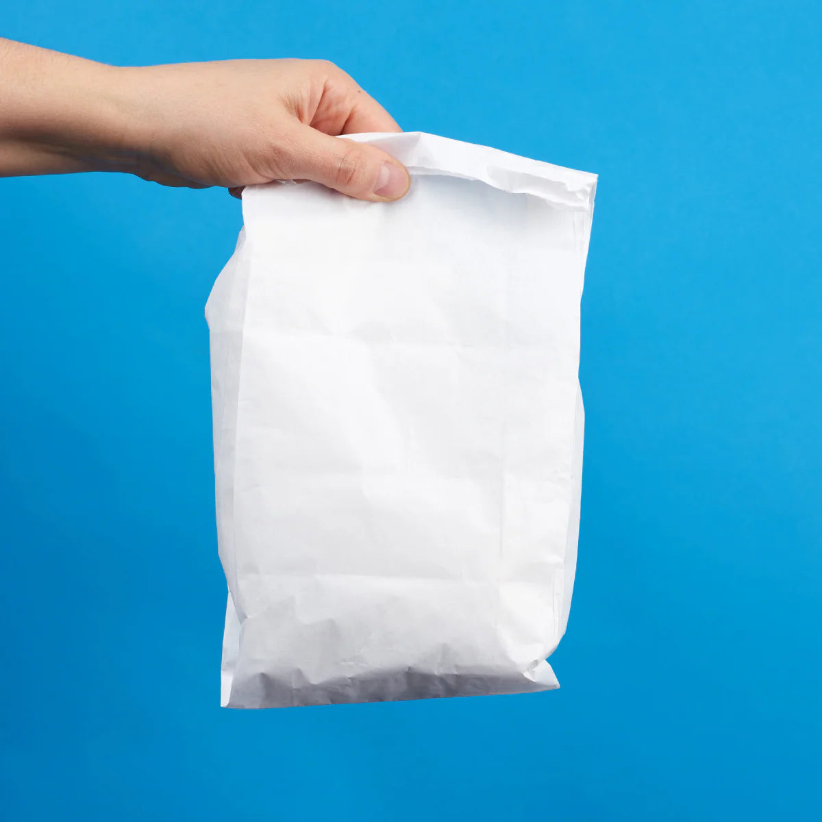 Sacchetti Carta Patinata Bianchi (Cartone da 10 Kg)