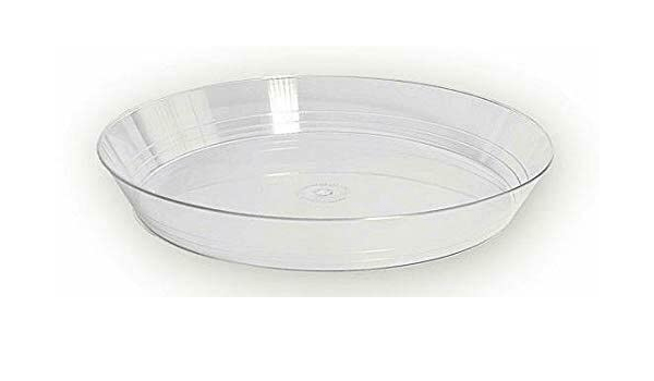 Vassoio Bavarese (Confezione da 10Kg)